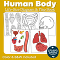Human Body Life Size Diagram