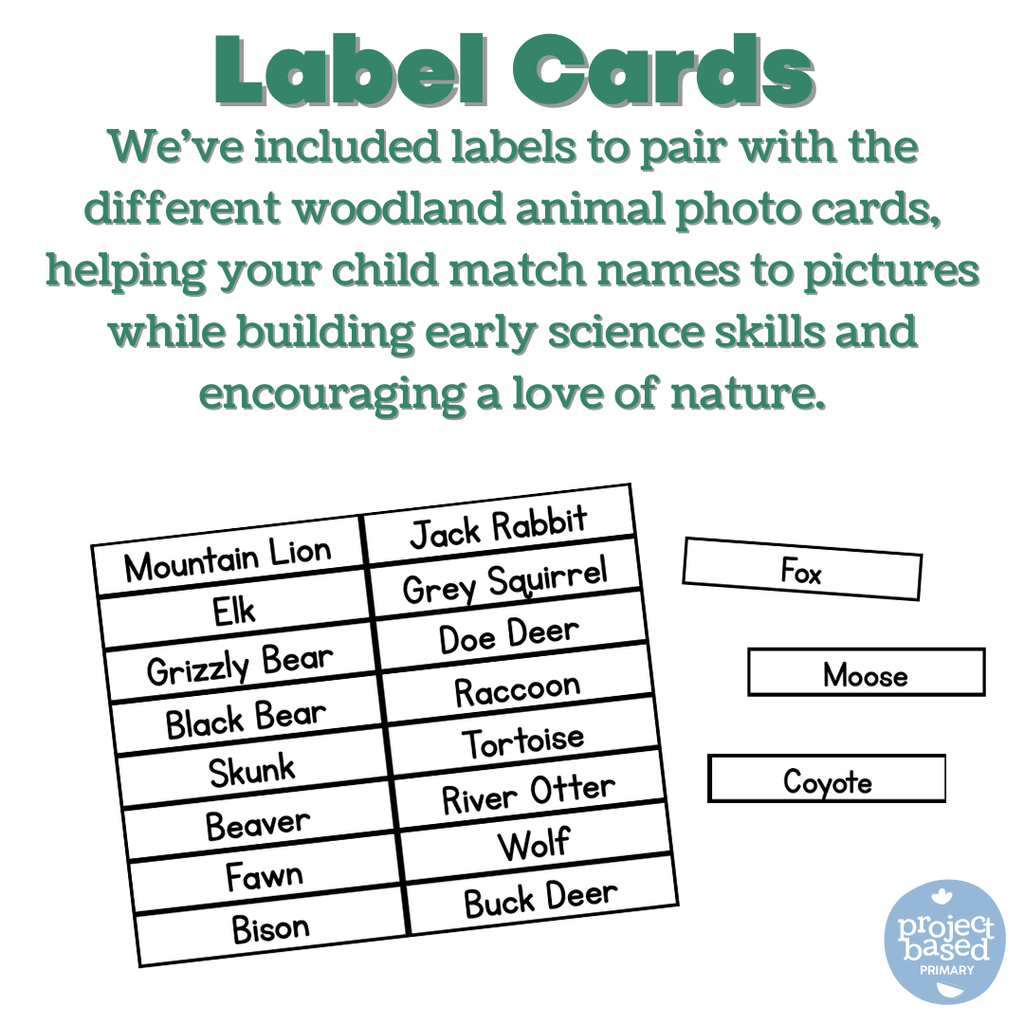 Woodland Animal Matching Cards
