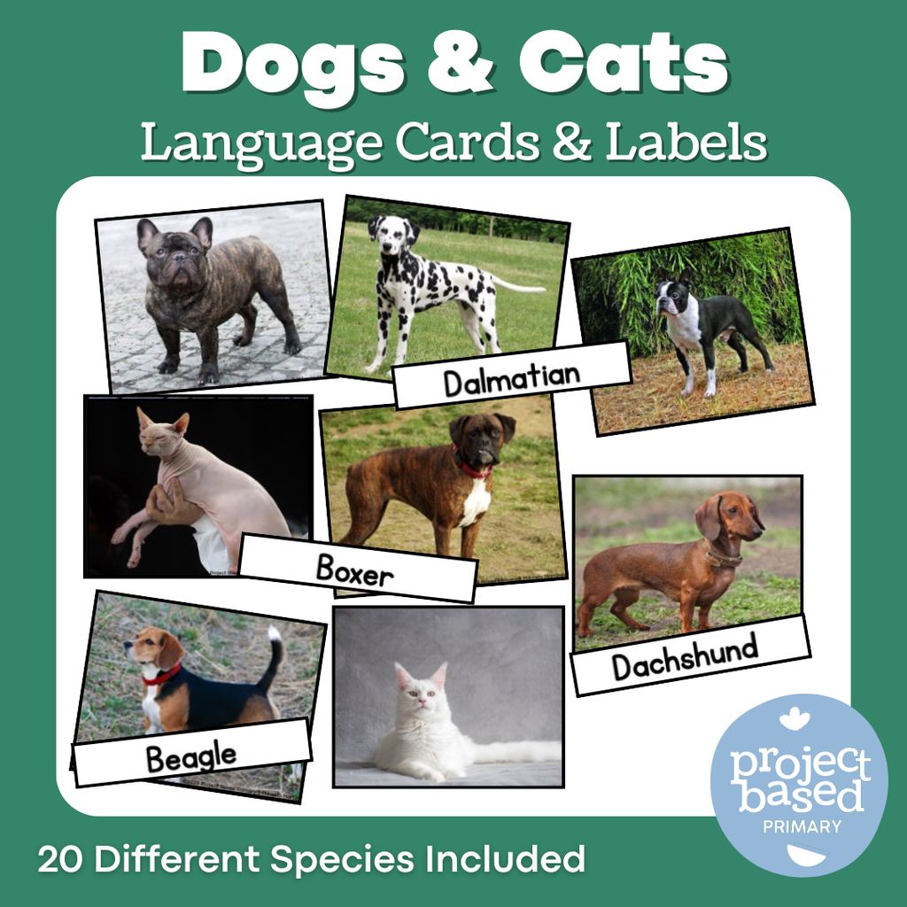 Cat & Dog Matching Cards (Safari Ltd Compatible) Montessori Aligned