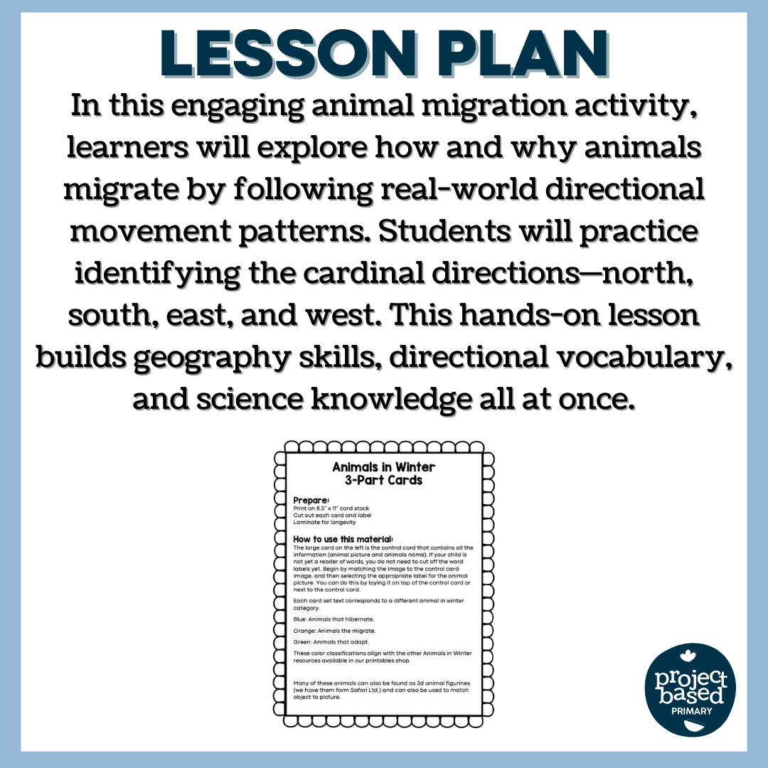 Animals in Winter: 3 Part Cards