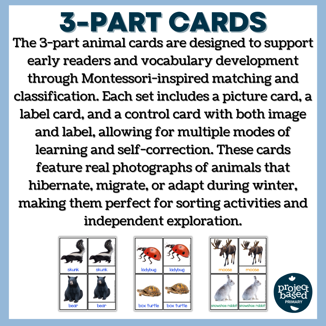 Animals in Winter: 3 Part Cards