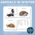 Animals in Winter: Diagrams
