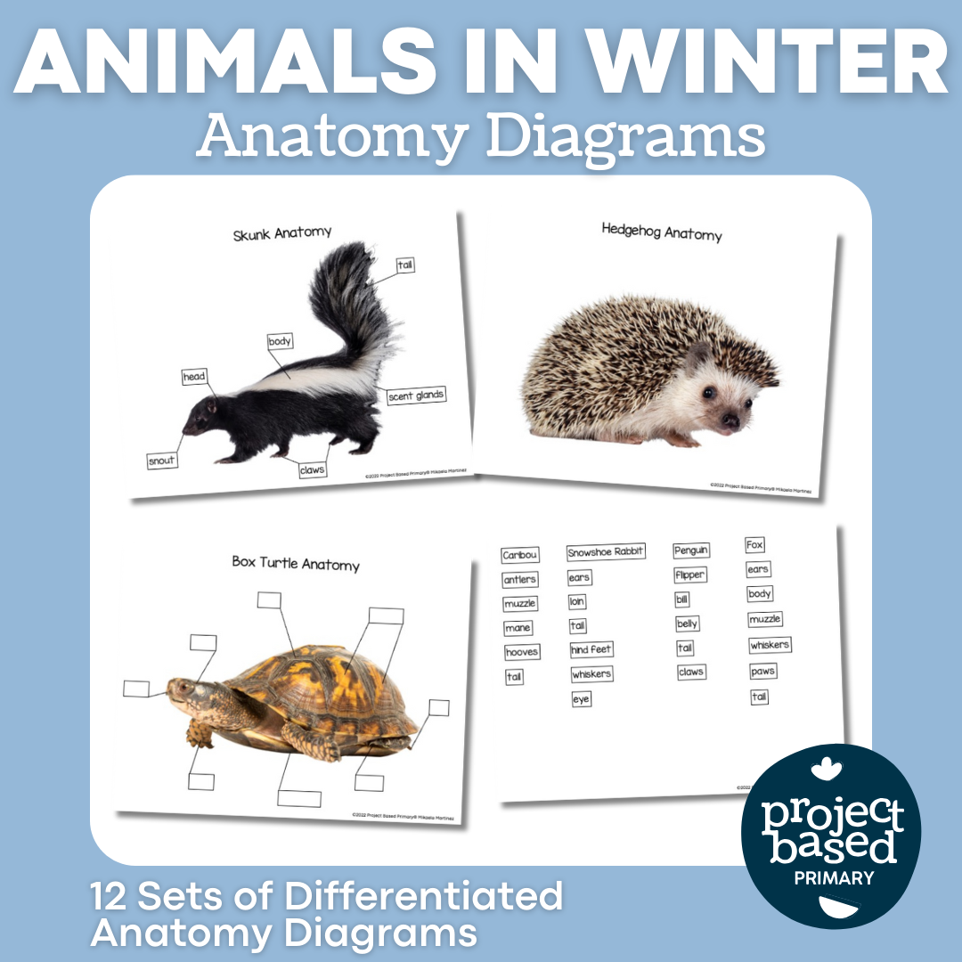 Animals in Winter: Diagrams