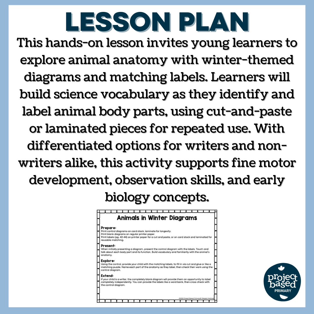 Animals in Winter: Diagrams