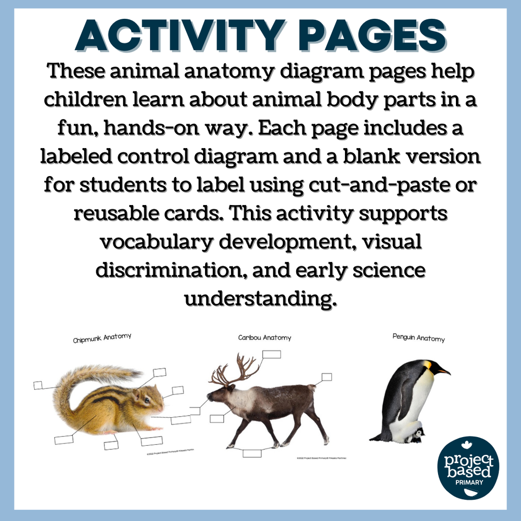 Animals in Winter: Diagrams