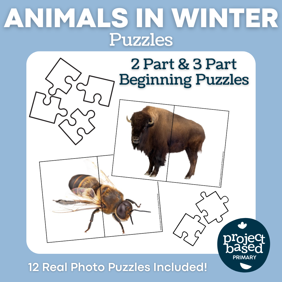Animals in Winter: 2-Part & 3-Part Puzzles
