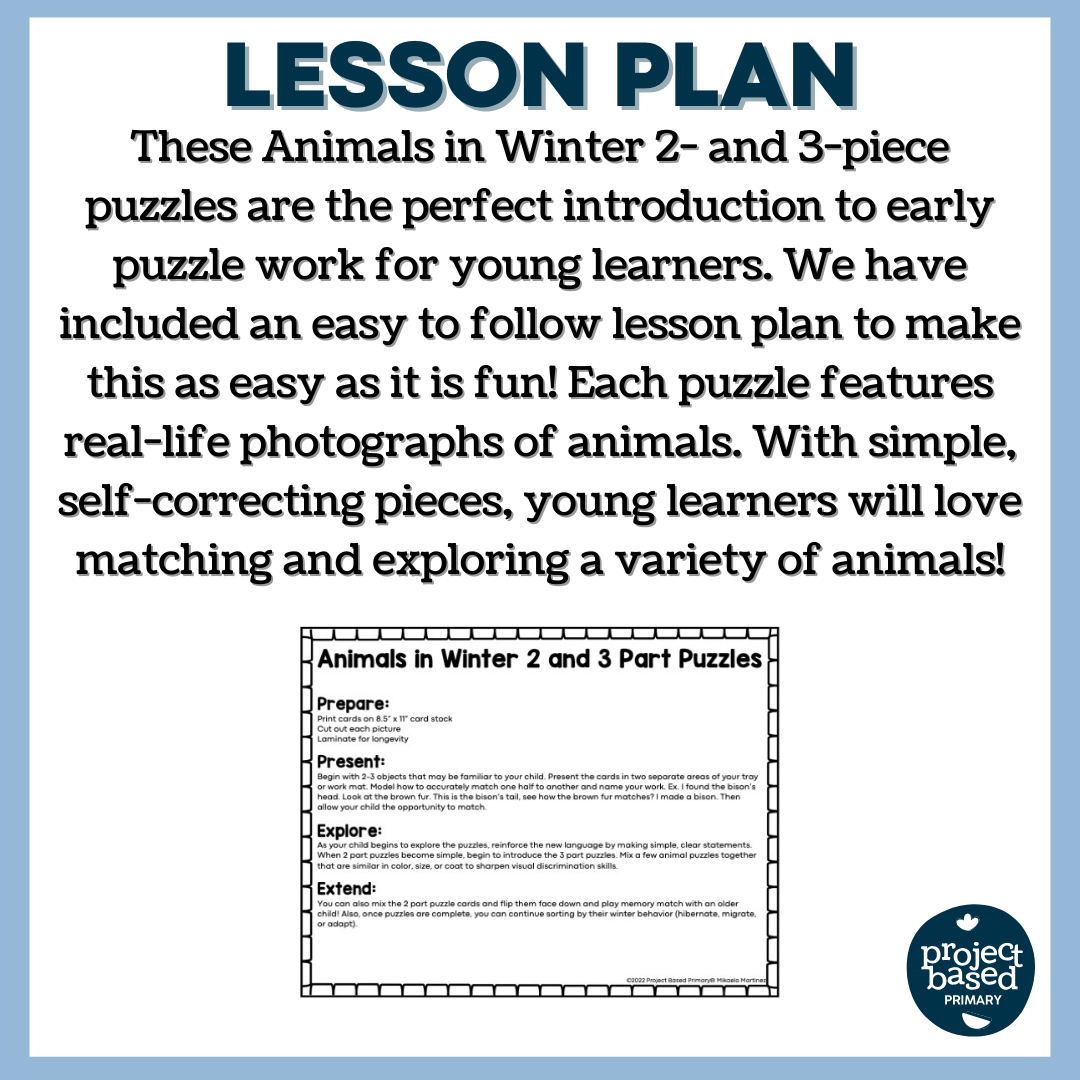 Animals in Winter: 2-Part & 3-Part Puzzles