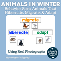 Animals in Winter: Behavior Sort - Hibernate, Migrate, Adapt