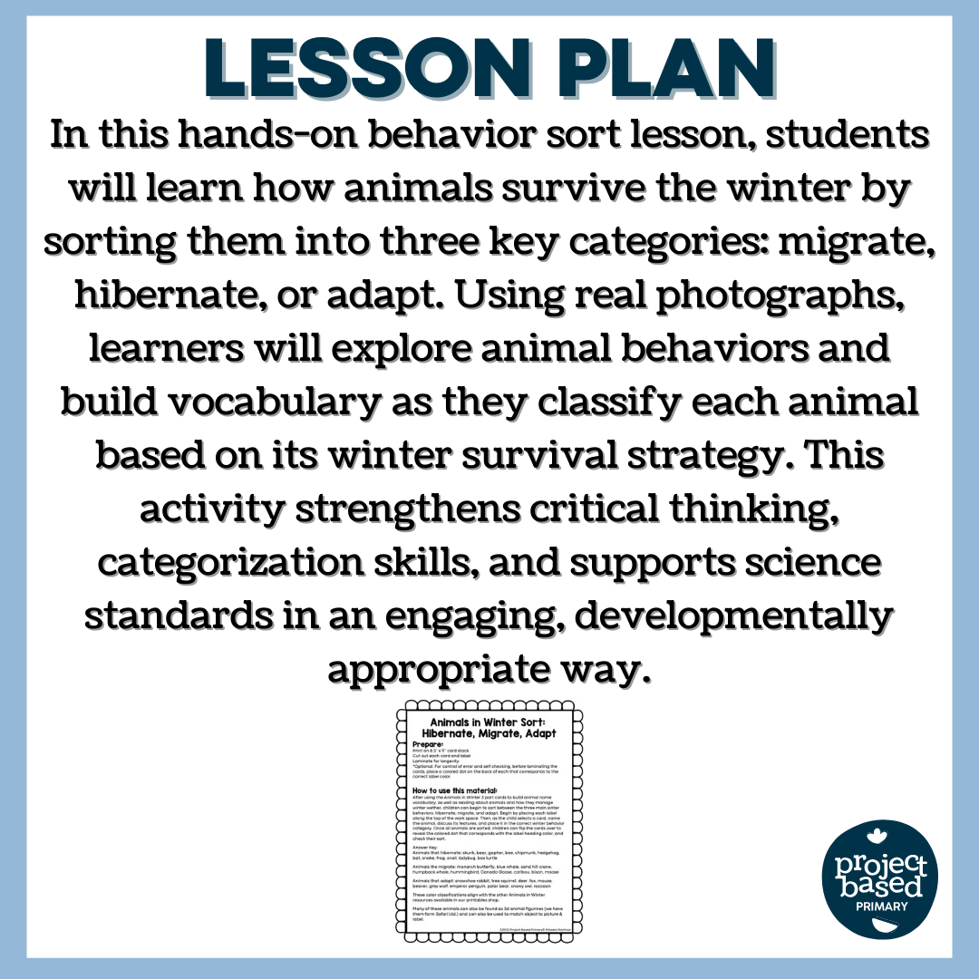 Animals in Winter: Behavior Sort - Hibernate, Migrate, Adapt