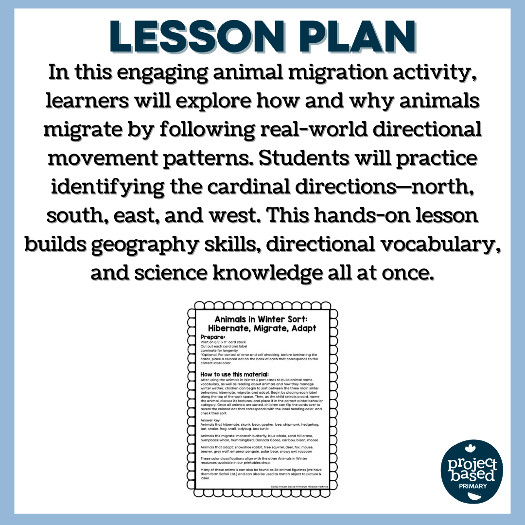 Animals in Winter: Migration Cardinal Directions