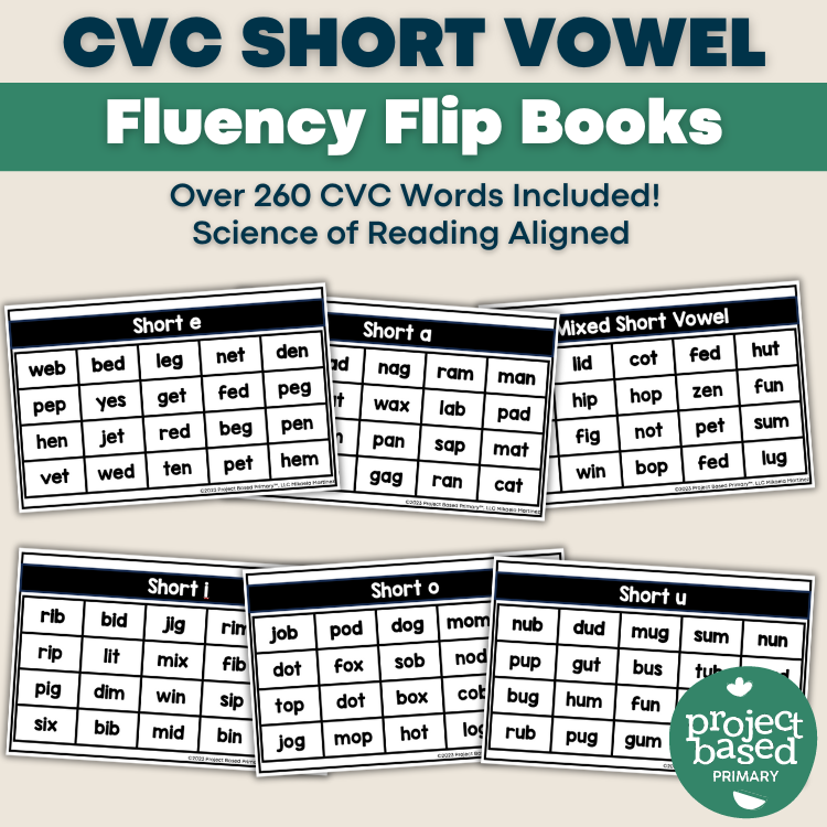 CVC Decodable Fluency Flip Book