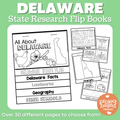 Delaware State Report Flip Book