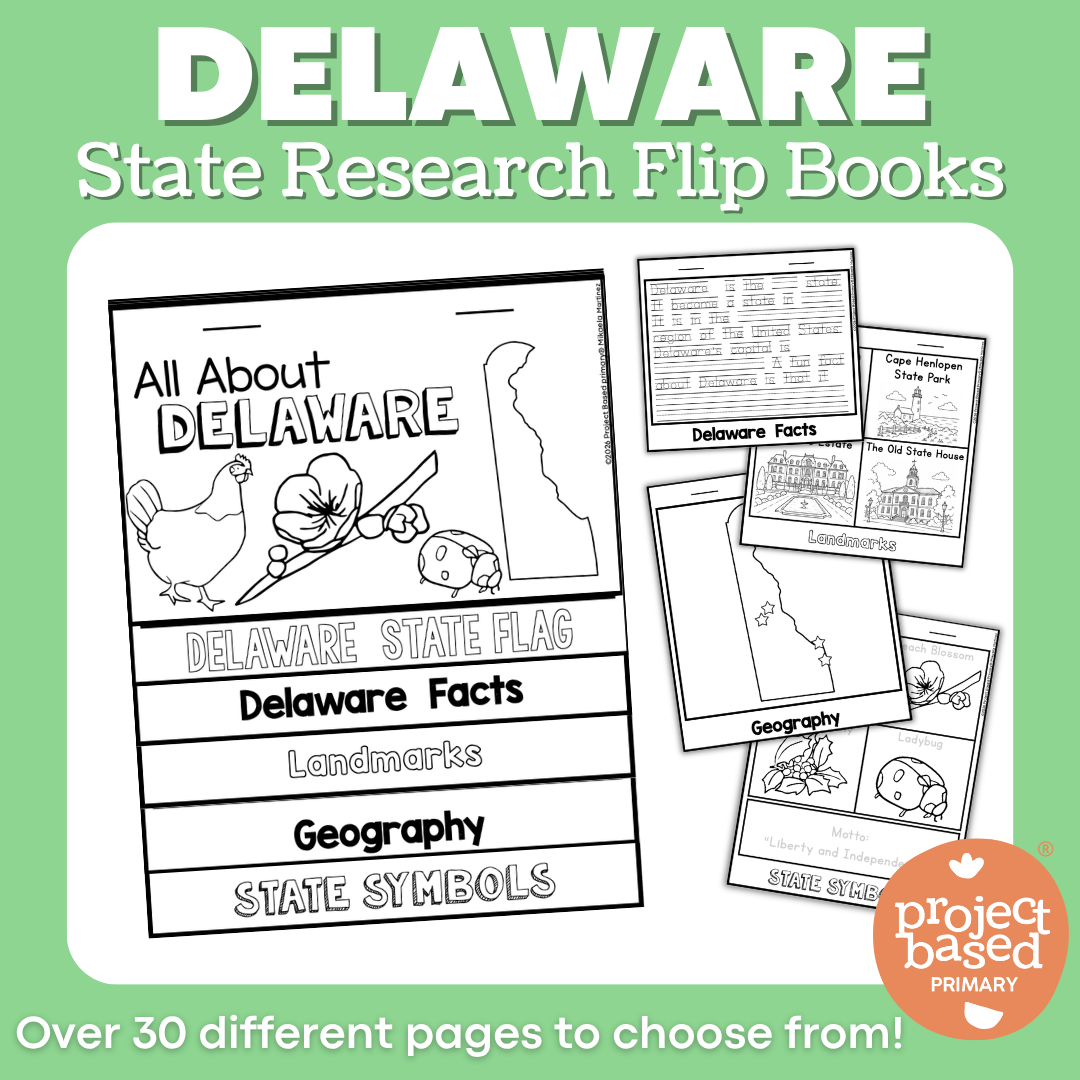 Delaware State Report Flip Book