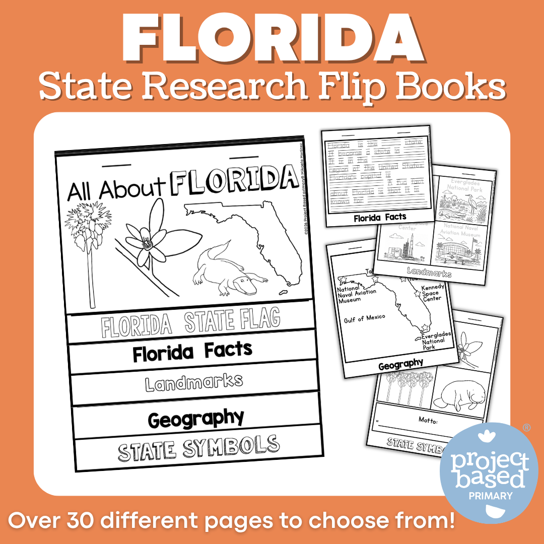Florida State Report Flip Book
