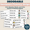 Decodable Fluency Sentence Strips