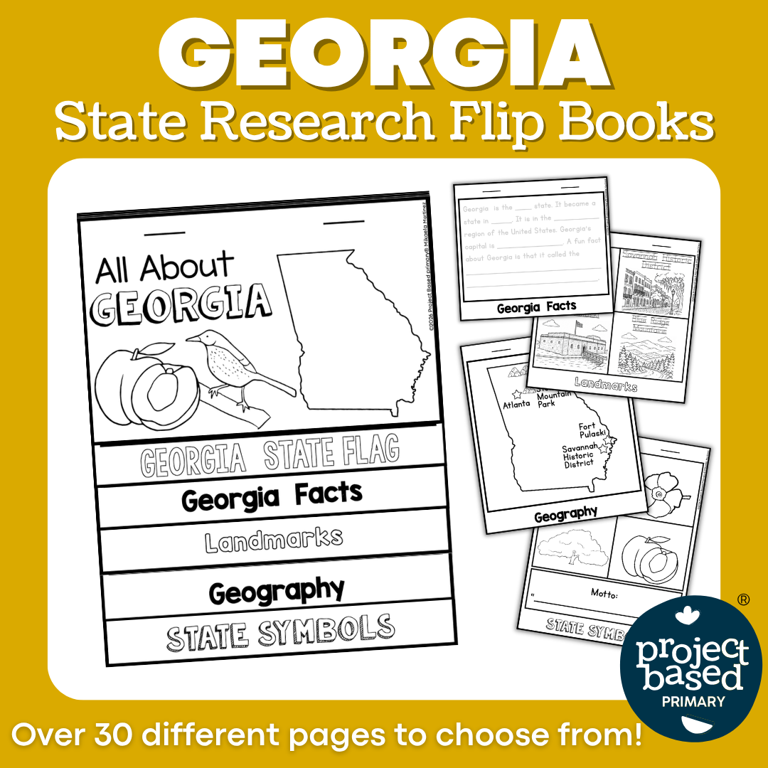 Georgia State Report Flip Book