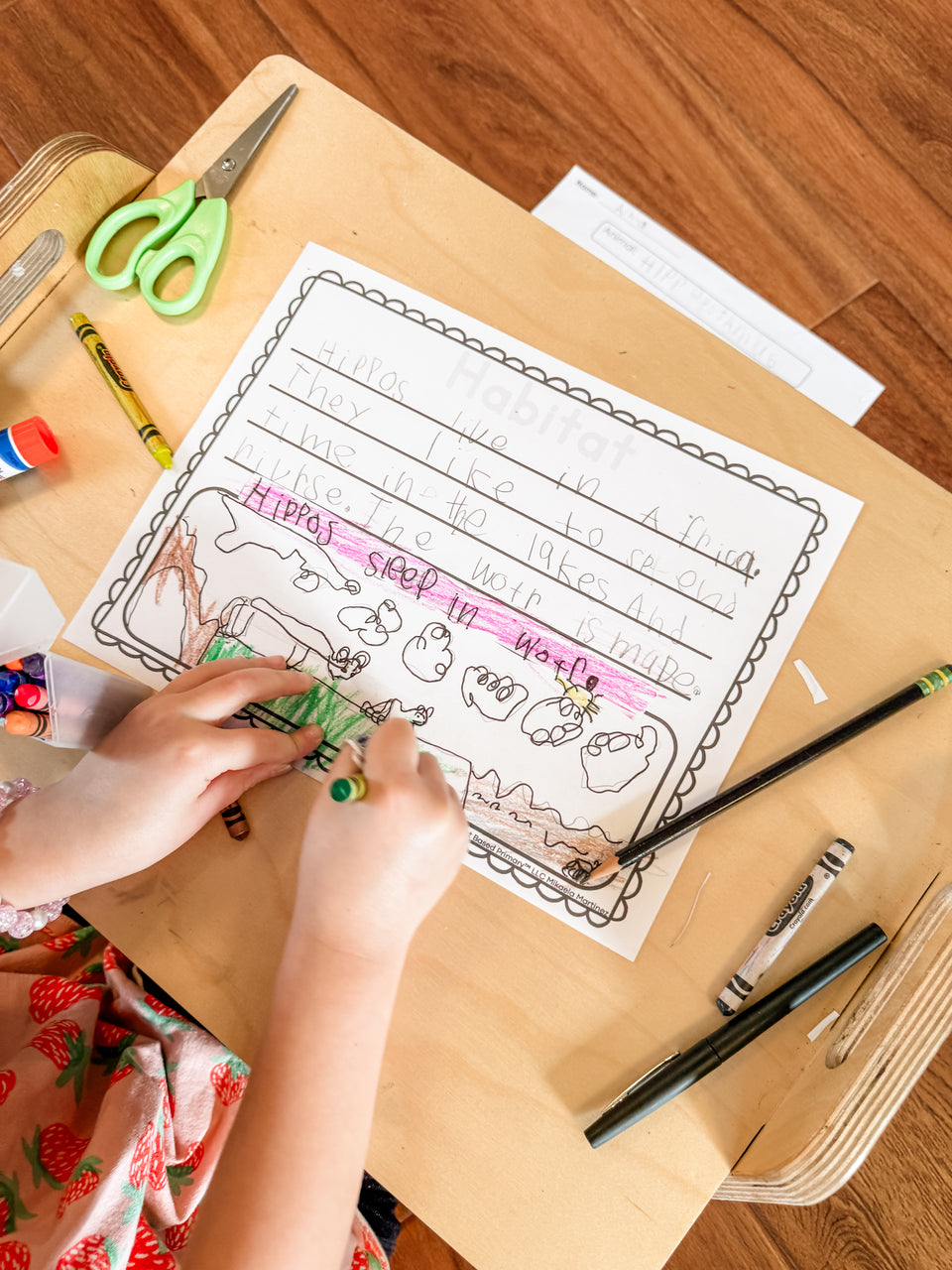 Project Based Primary Project Based Primary | Hands-On Learning for Ages 18m–6+
