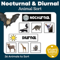 Nocturnal & Diurnal Animals Sort