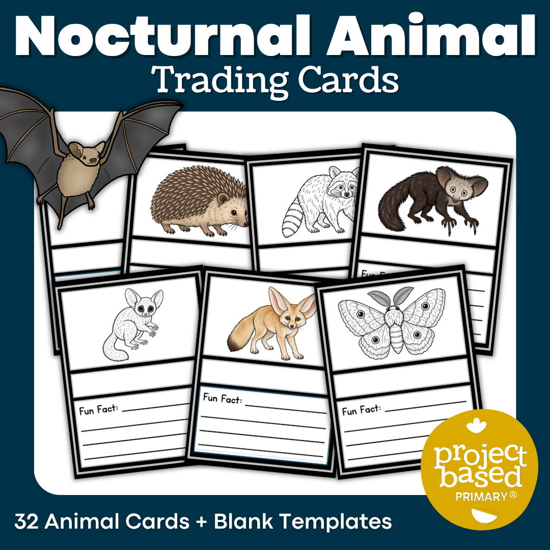 Nocturnal Animal Trading Cards