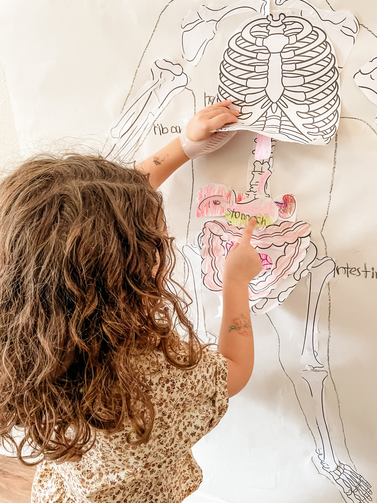 Project Based Preschool