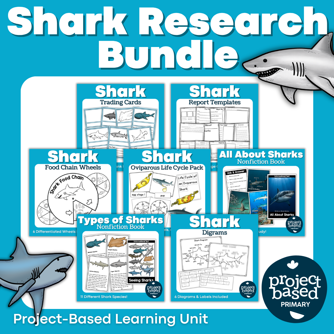All About Sharks Research Bundle