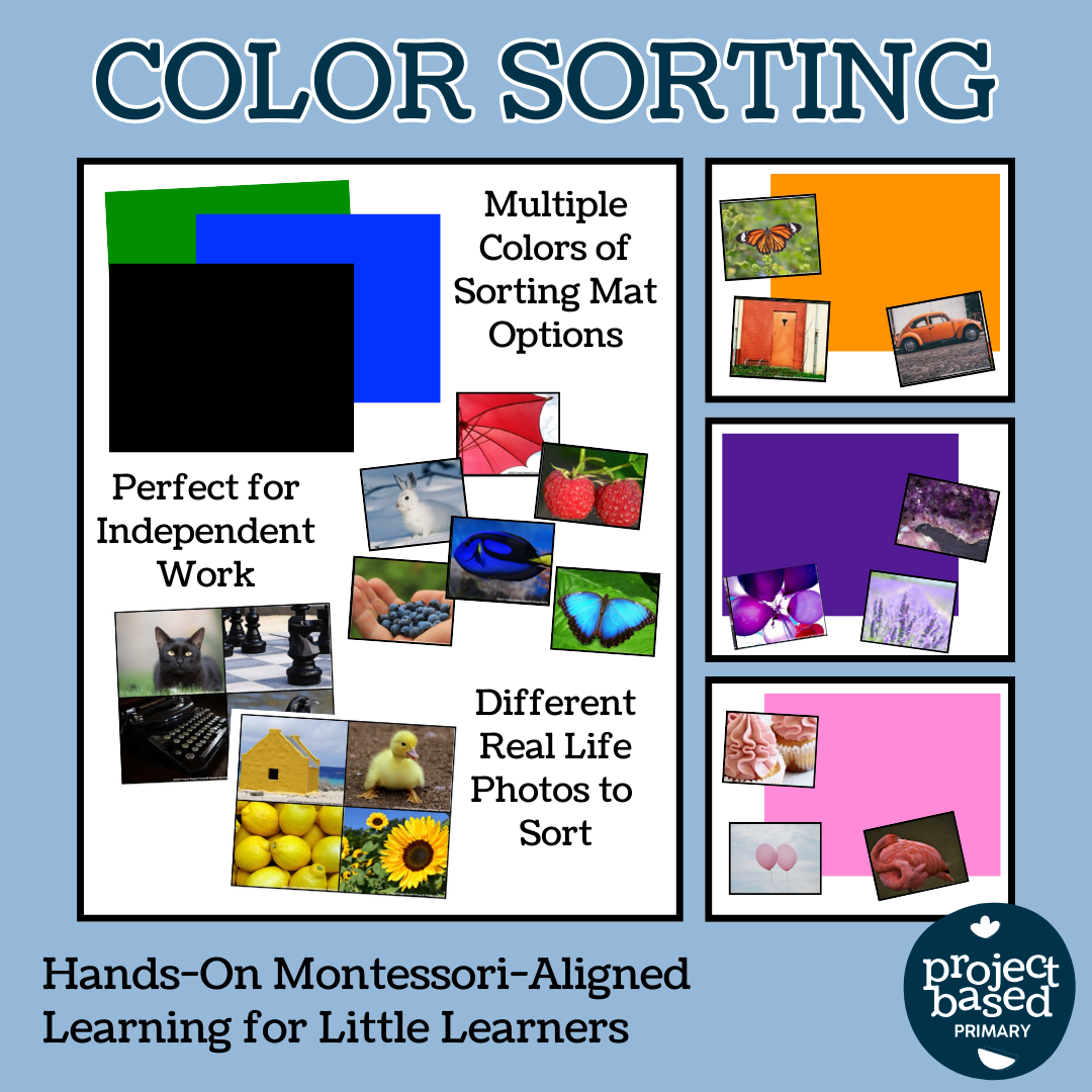 Color Sorting & Matching – Project Based Primary