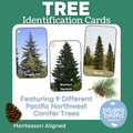 Pacific Northwest Conifer Tree Identification Cards (Tree/Cone/Needles)