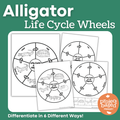Alligator Life Cycle Wheels