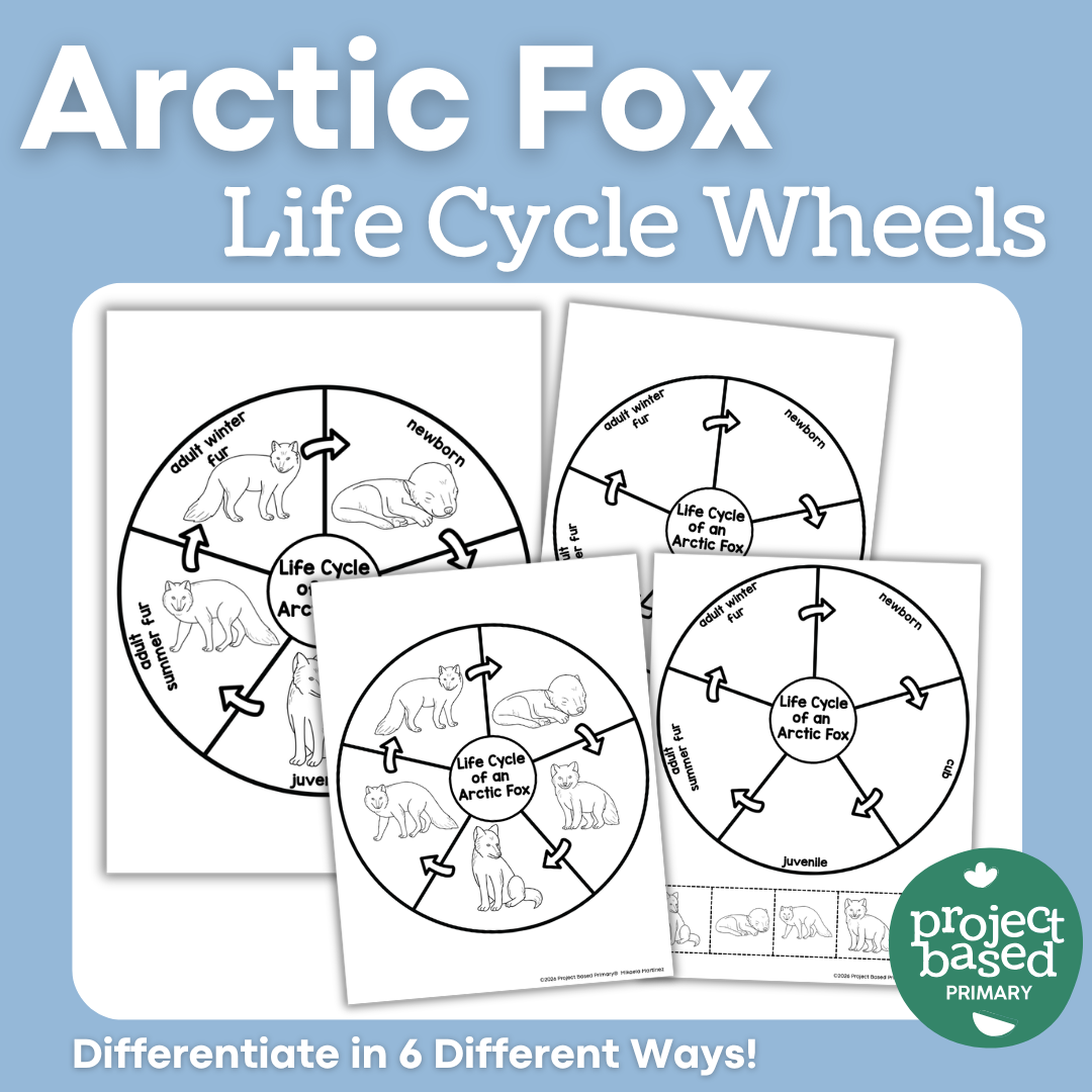 Arctic Fox Life Cycle Wheels