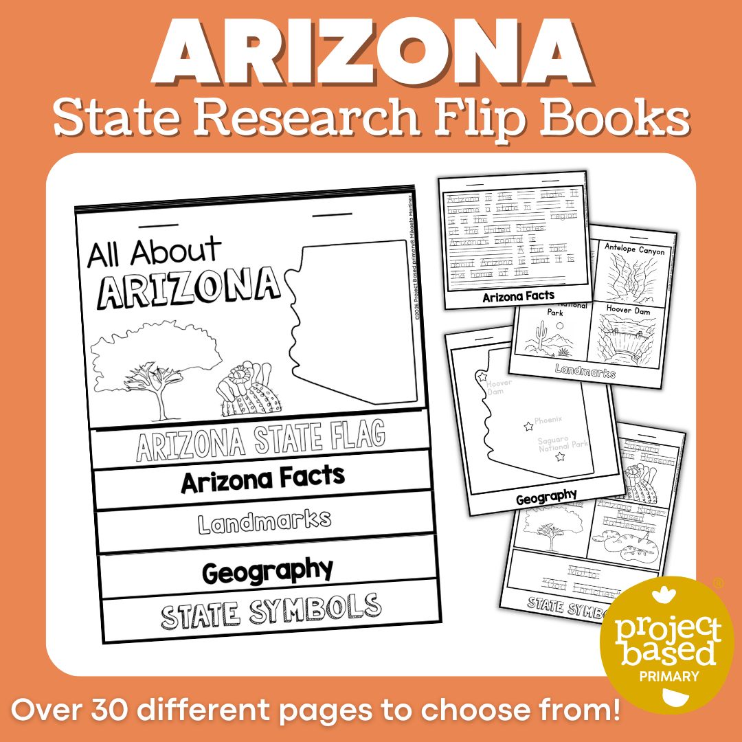 Arizona State Report Flip Book
