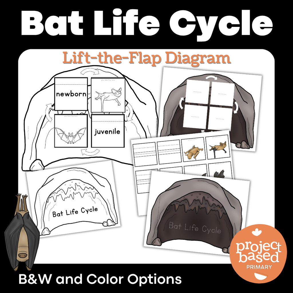 Bat Life Cycle Lift-the-Flap Diagram