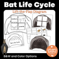 Bat Life Cycle Lift-the-Flap Diagram