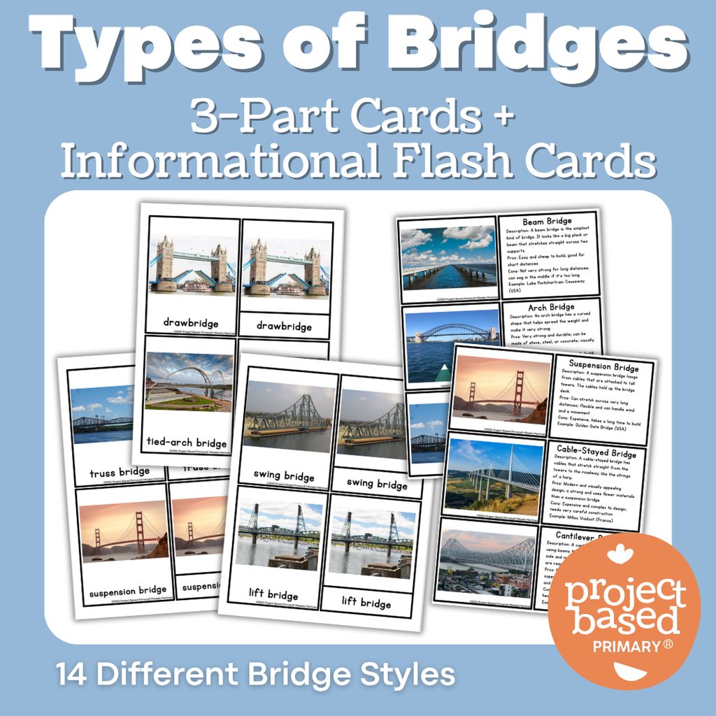 Types of Bridges 3 Part Cards and Informational Flash Cards
