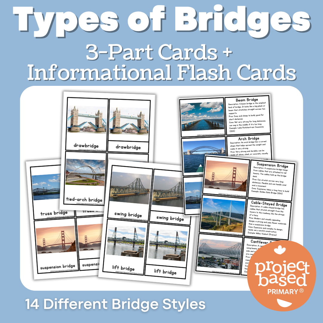 Types of Bridges 3 Part Cards and Informational Flash Cards