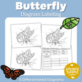 Butterfly Diagram