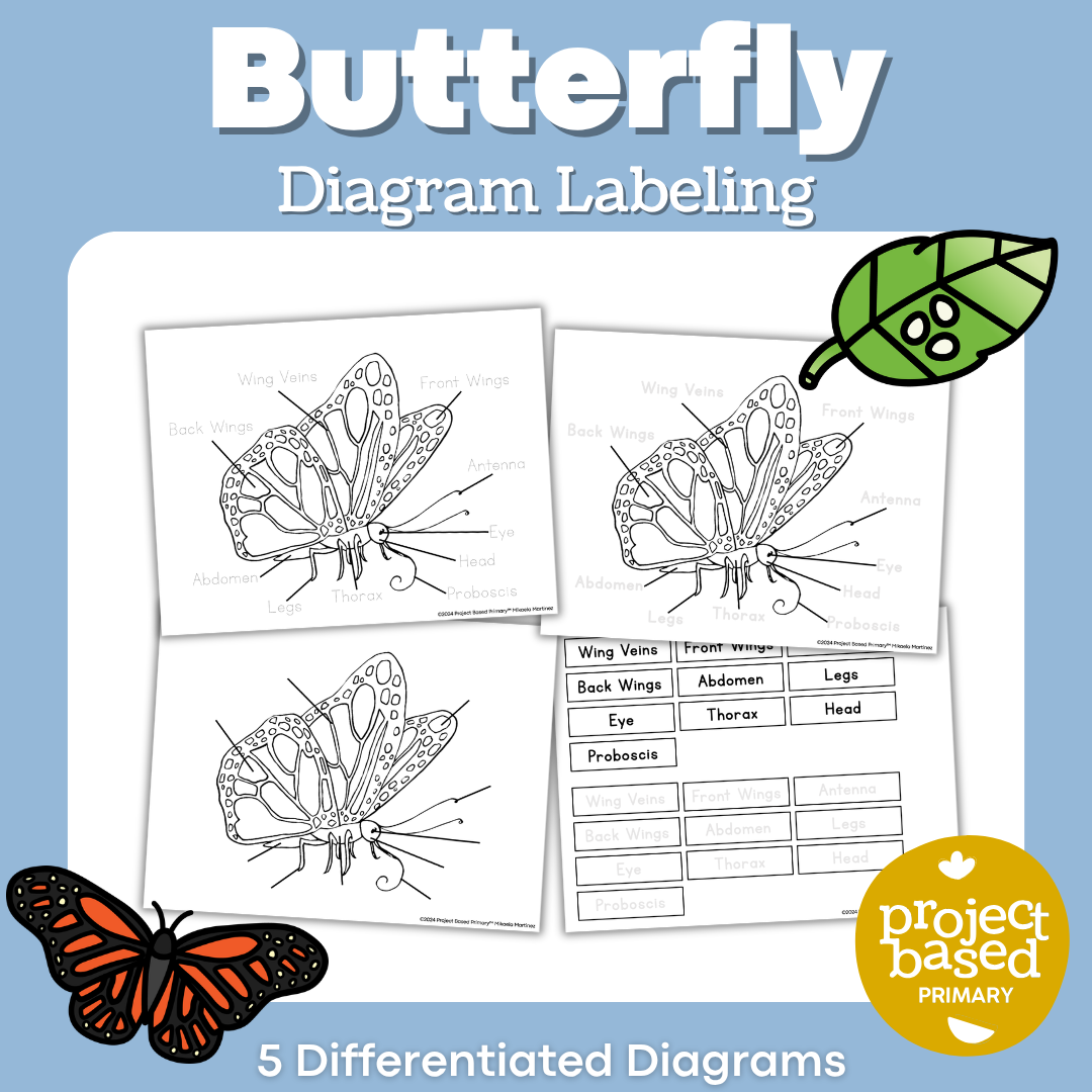 Butterfly Diagram