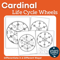 Cardinal Life Cycle Wheels