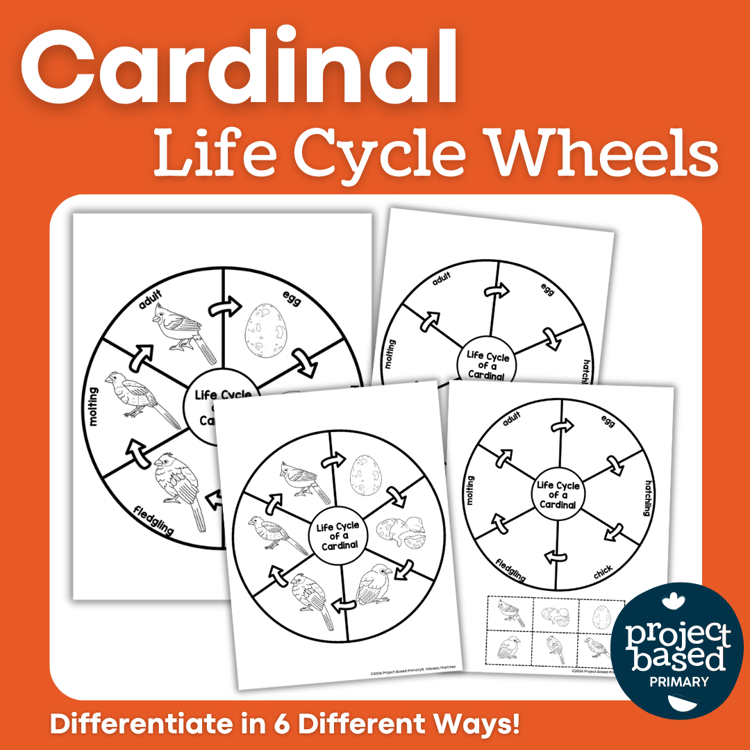 Cardinal Life Cycle Wheels