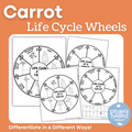 Carrot Life Cycle Wheels