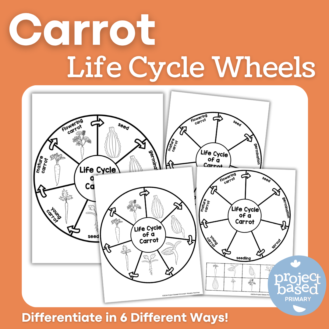 Carrot Life Cycle Wheels