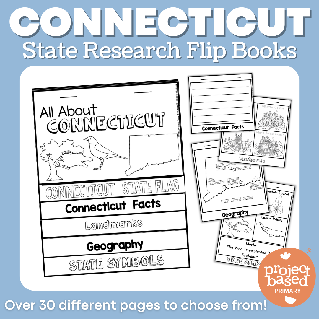 Connecticut State Report Flip Book