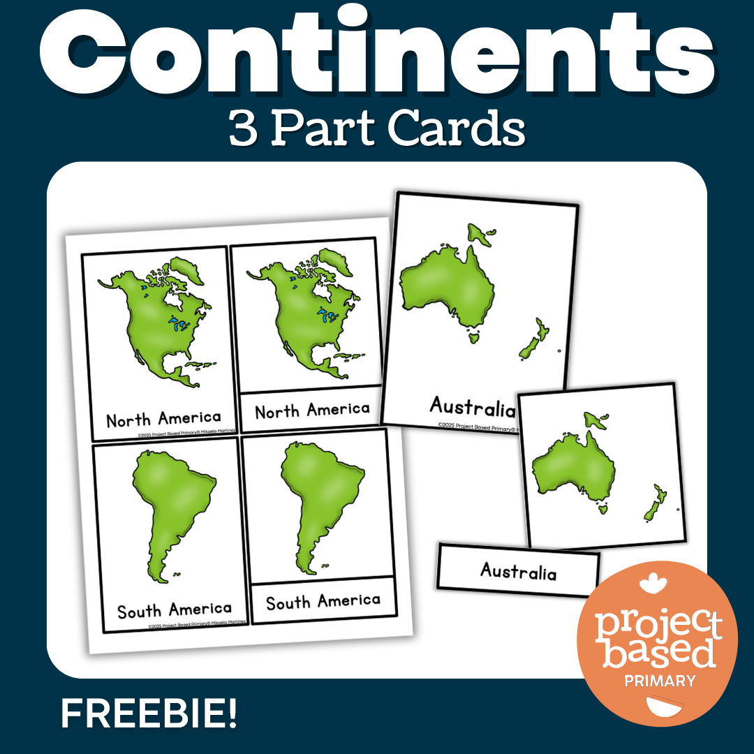Continents 3 Part Cards FREEBIE