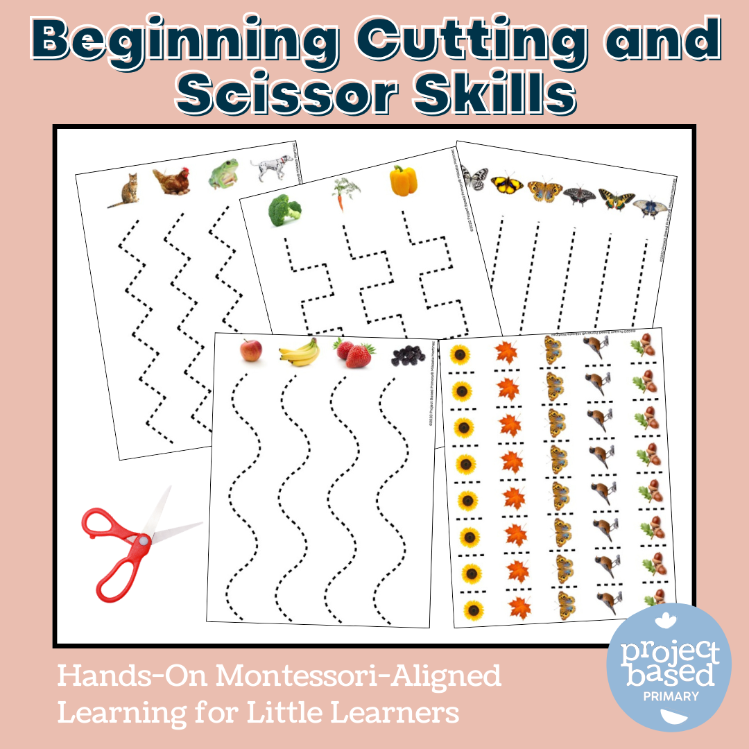 Beginning Cutting and Scissor Skills Montessori Aligned