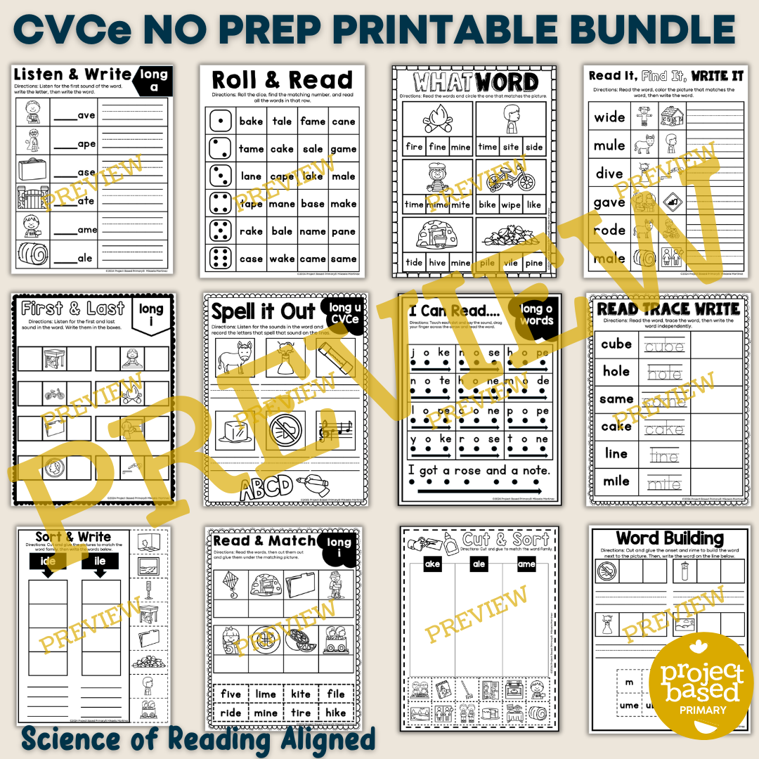 CVCe No Prep Printables Bundle