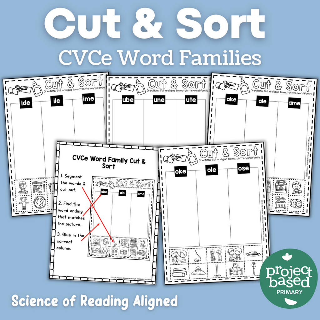 CVCe No Prep Printables Bundle
