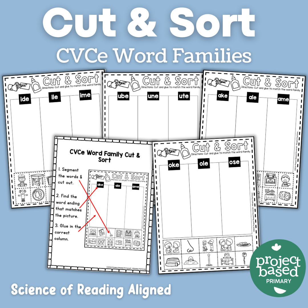 CVCe No Prep Printables Bundle