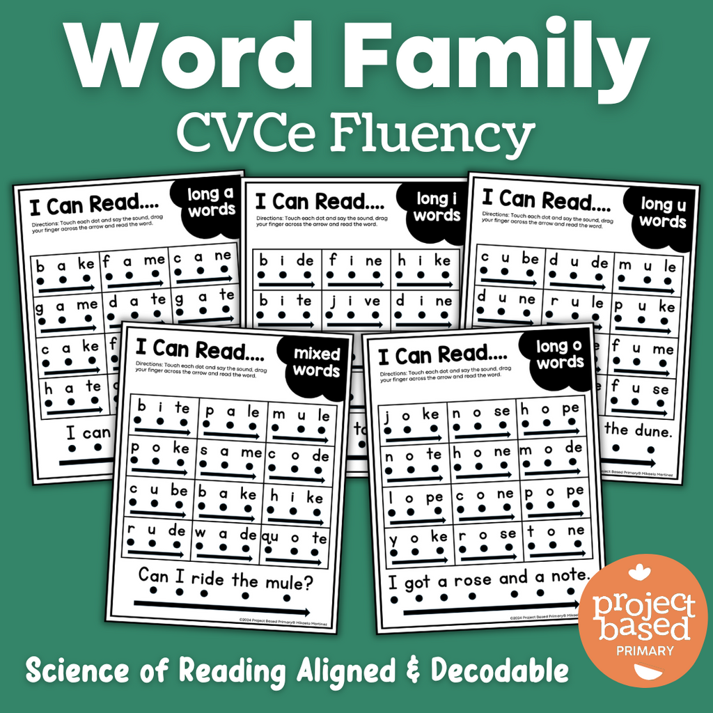 CVCe No Prep Printables Bundle