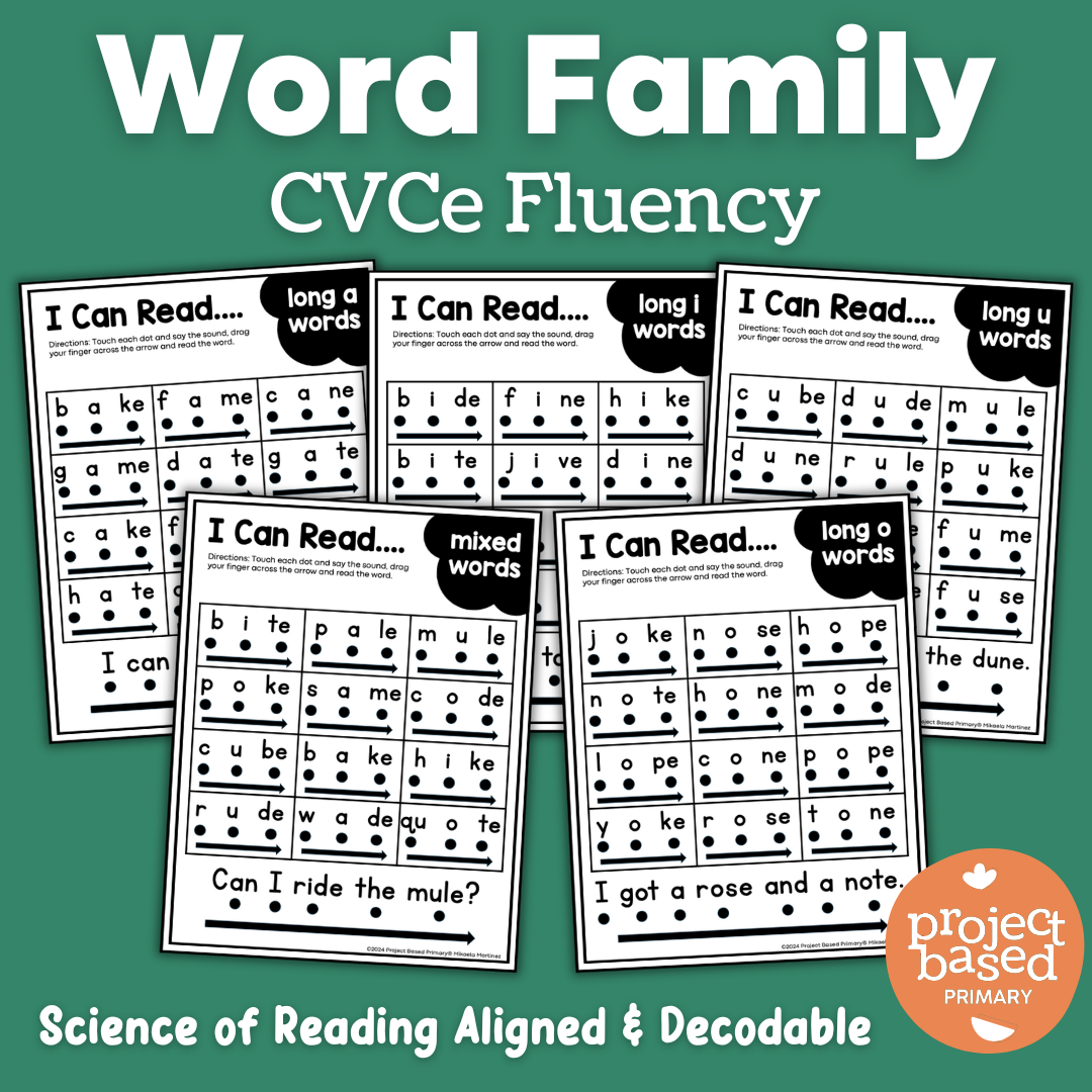 CVCe No Prep Printables Bundle
