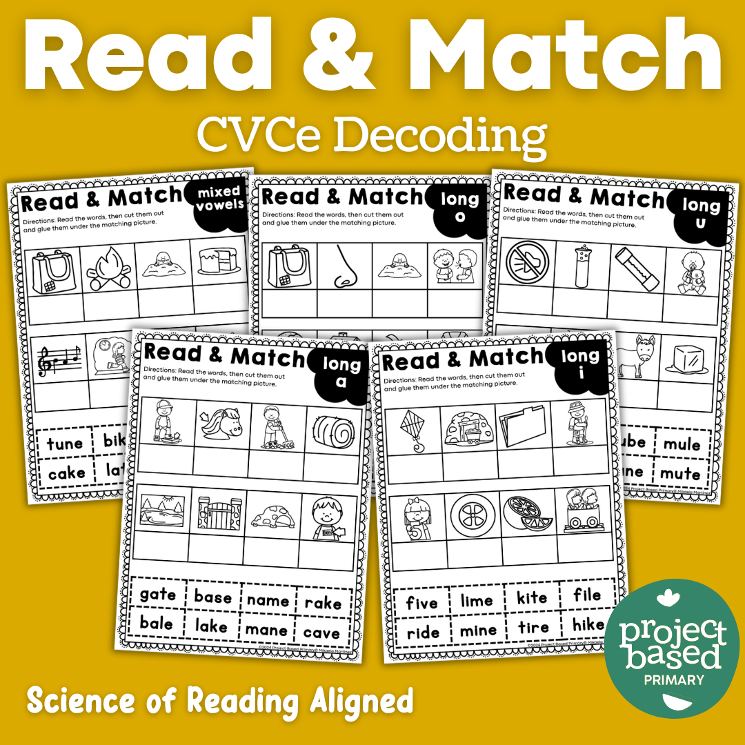 CVCe No Prep Printables Bundle