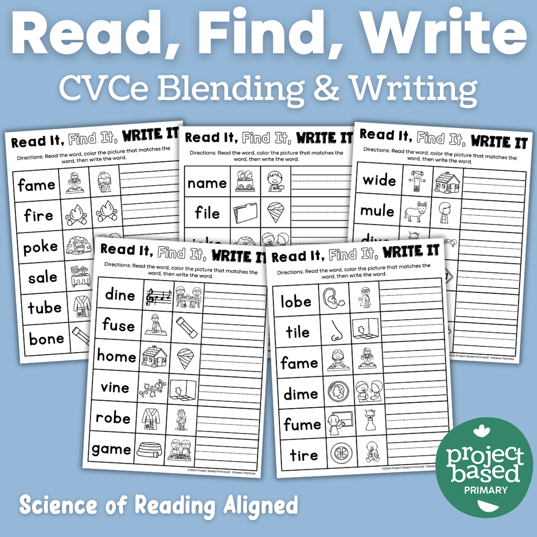 CVCe No Prep Printables Bundle